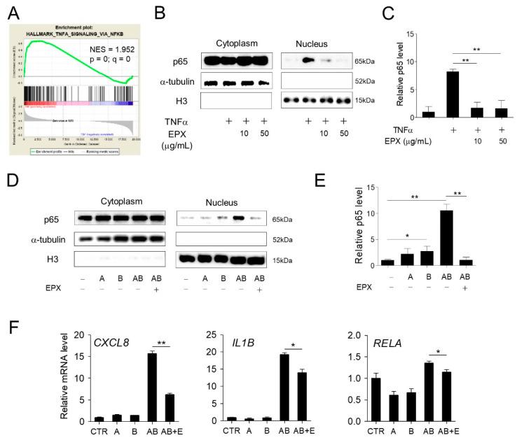 https://cdn.ncbi.nlm.nih.gov/pmc/blobs/55e5/7912168/ee0a36e44595/nutrients-13-00359-g005.jpg