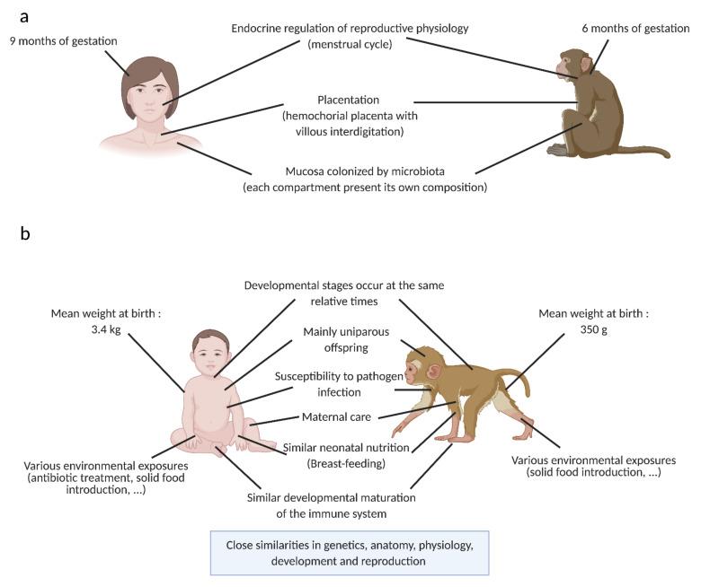 https://cdn.ncbi.nlm.nih.gov/pmc/blobs/55e5/8230289/0345746abb87/vaccines-09-00584-g002.jpg