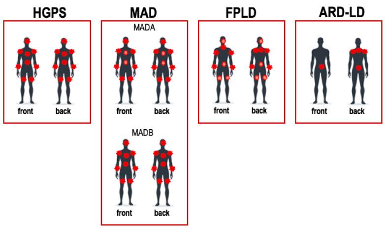 https://cdn.ncbi.nlm.nih.gov/pmc/blobs/55e6/11311807/1c4b12dc2e62/ijms-25-08020-g001.jpg
