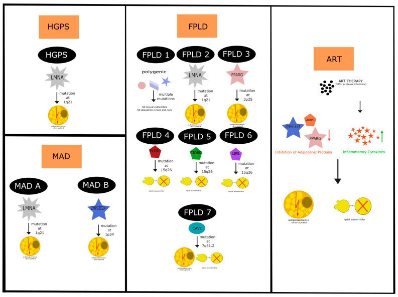 https://cdn.ncbi.nlm.nih.gov/pmc/blobs/55e6/11311807/e892489a0b3e/ijms-25-08020-g002.jpg