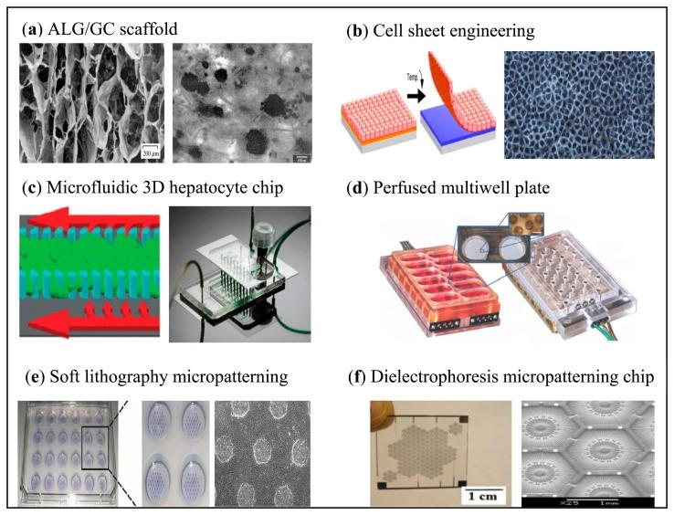 https://cdn.ncbi.nlm.nih.gov/pmc/blobs/55e7/4168452/01d5b8090532/sensors-14-11714f2.jpg