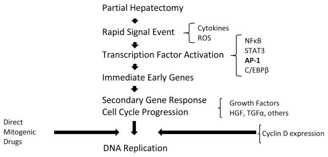 https://cdn.ncbi.nlm.nih.gov/pmc/blobs/55e7/4168452/2c21bde2fbcd/sensors-14-11714f1.jpg