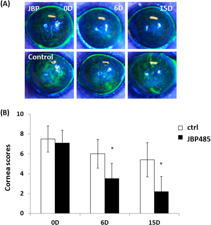 https://cdn.ncbi.nlm.nih.gov/pmc/blobs/55e7/4440520/7b6e66c5a307/srep10248-f8.jpg