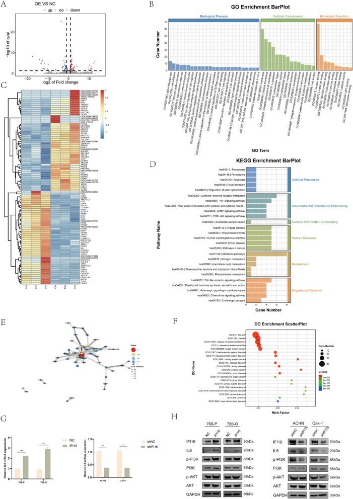 https://cdn.ncbi.nlm.nih.gov/pmc/blobs/55e8/11149187/2e4f41909324/12967_2024_5354_Fig5_HTML.jpg