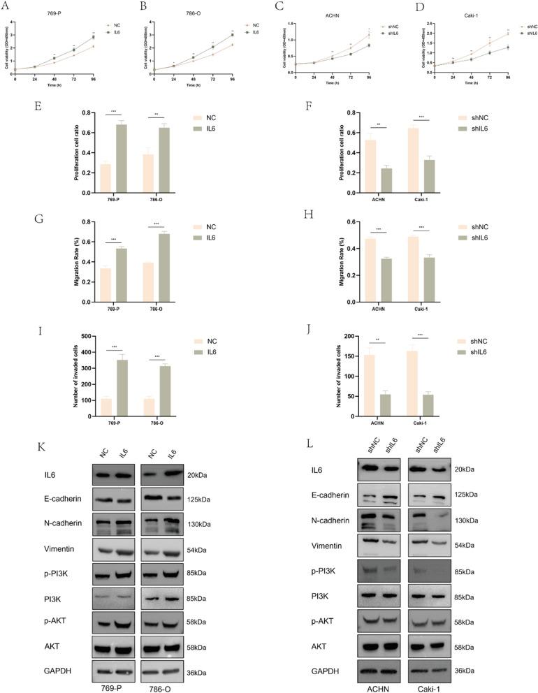 https://cdn.ncbi.nlm.nih.gov/pmc/blobs/55e8/11149187/7fb6b71e2dbb/12967_2024_5354_Fig6_HTML.jpg
