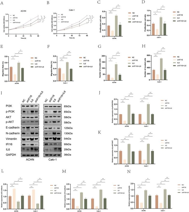 https://cdn.ncbi.nlm.nih.gov/pmc/blobs/55e8/11149187/d62c92675ee8/12967_2024_5354_Fig8_HTML.jpg