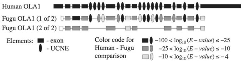https://cdn.ncbi.nlm.nih.gov/pmc/blobs/55e8/3436827/3e1d3a82af4a/bts400f2.jpg
