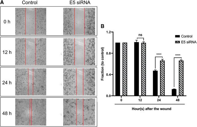 https://cdn.ncbi.nlm.nih.gov/pmc/blobs/55e9/10207959/c0c712facf00/OncolRes-29-23346-f006.jpg