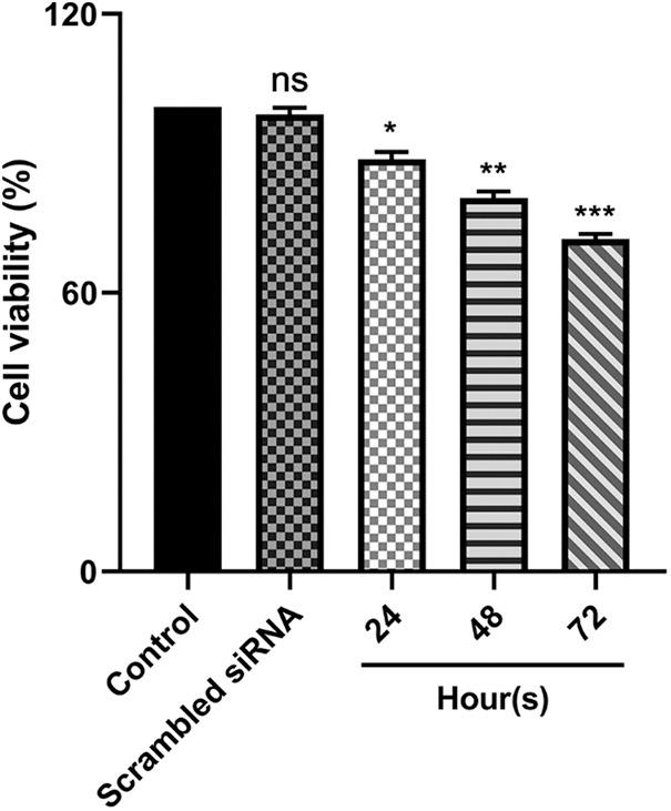 https://cdn.ncbi.nlm.nih.gov/pmc/blobs/55e9/10207959/fadd96321344/OncolRes-29-23346-f002.jpg