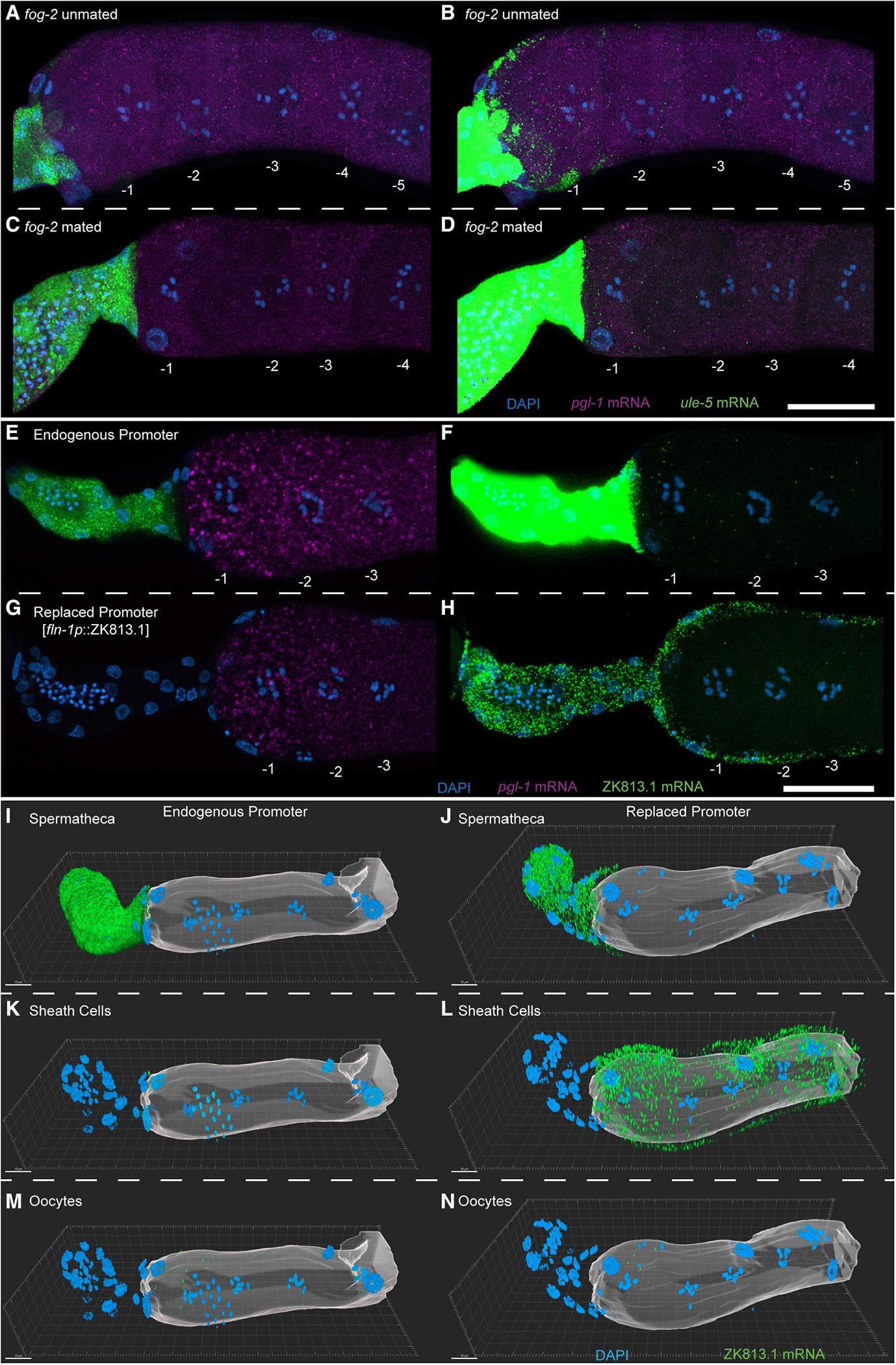 https://cdn.ncbi.nlm.nih.gov/pmc/blobs/55e9/10592488/170bad366808/nihms-1912763-f0007.jpg