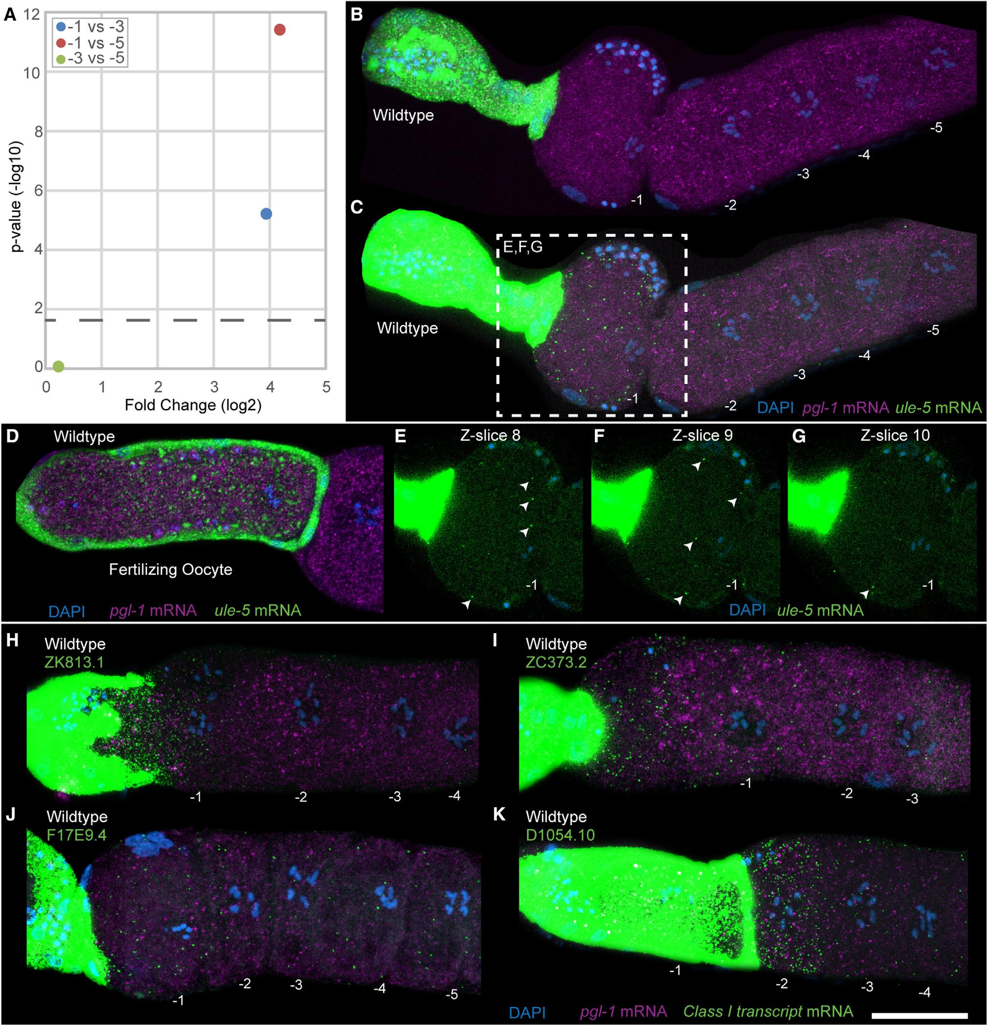 https://cdn.ncbi.nlm.nih.gov/pmc/blobs/55e9/10592488/f6aa27e1e080/nihms-1912763-f0006.jpg
