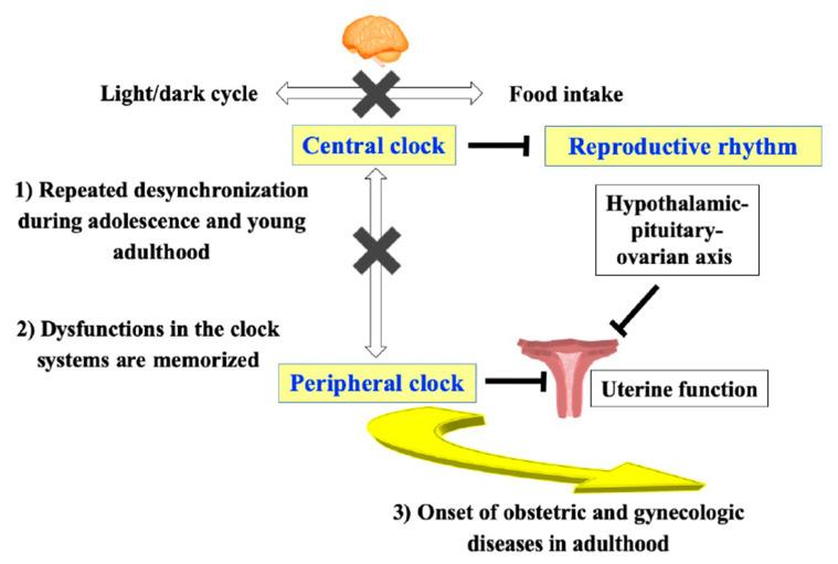 https://cdn.ncbi.nlm.nih.gov/pmc/blobs/55e9/7282263/4f2d1a94db5f/nutrients-12-01294-g002.jpg