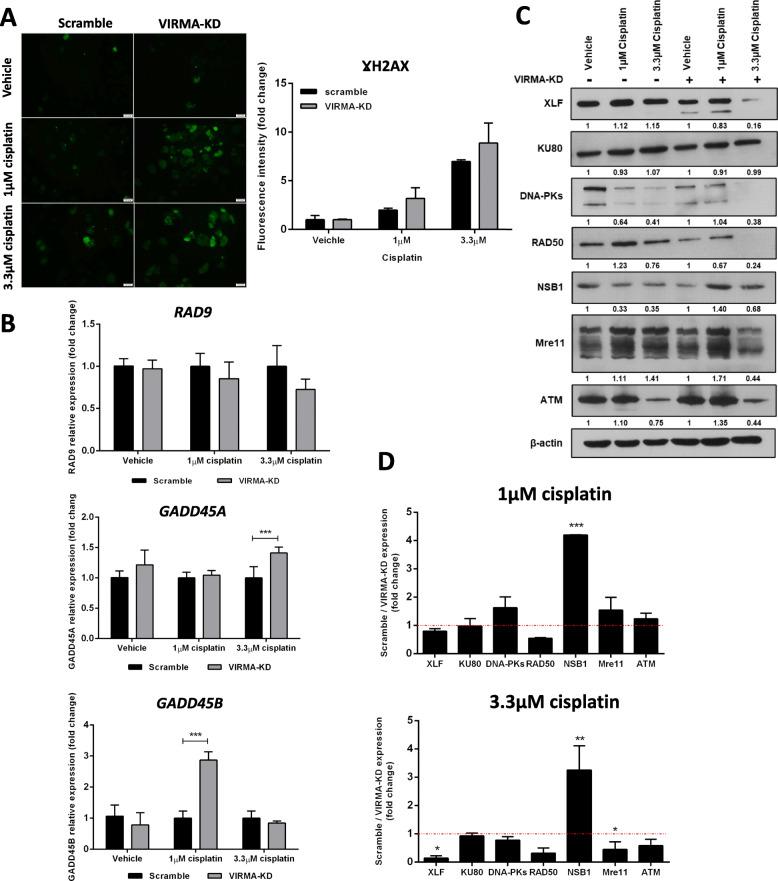 https://cdn.ncbi.nlm.nih.gov/pmc/blobs/55ea/8390281/dc15f8bce530/13046_2021_2072_Fig4_HTML.jpg