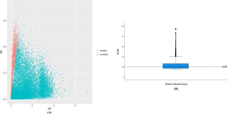 https://cdn.ncbi.nlm.nih.gov/pmc/blobs/55ea/9233376/31158836128e/12864_2022_8703_Fig3_HTML.jpg