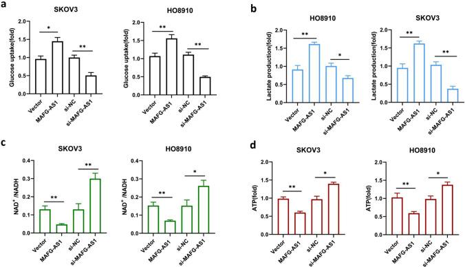 https://cdn.ncbi.nlm.nih.gov/pmc/blobs/55ed/12081788/8dd877697d0b/12672_2025_2429_Fig3_HTML.jpg