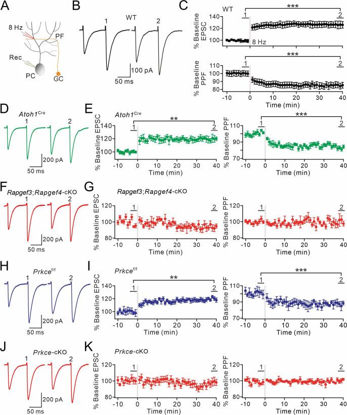 https://cdn.ncbi.nlm.nih.gov/pmc/blobs/55ee/10171863/57596773fe05/elife-80875-fig3.jpg