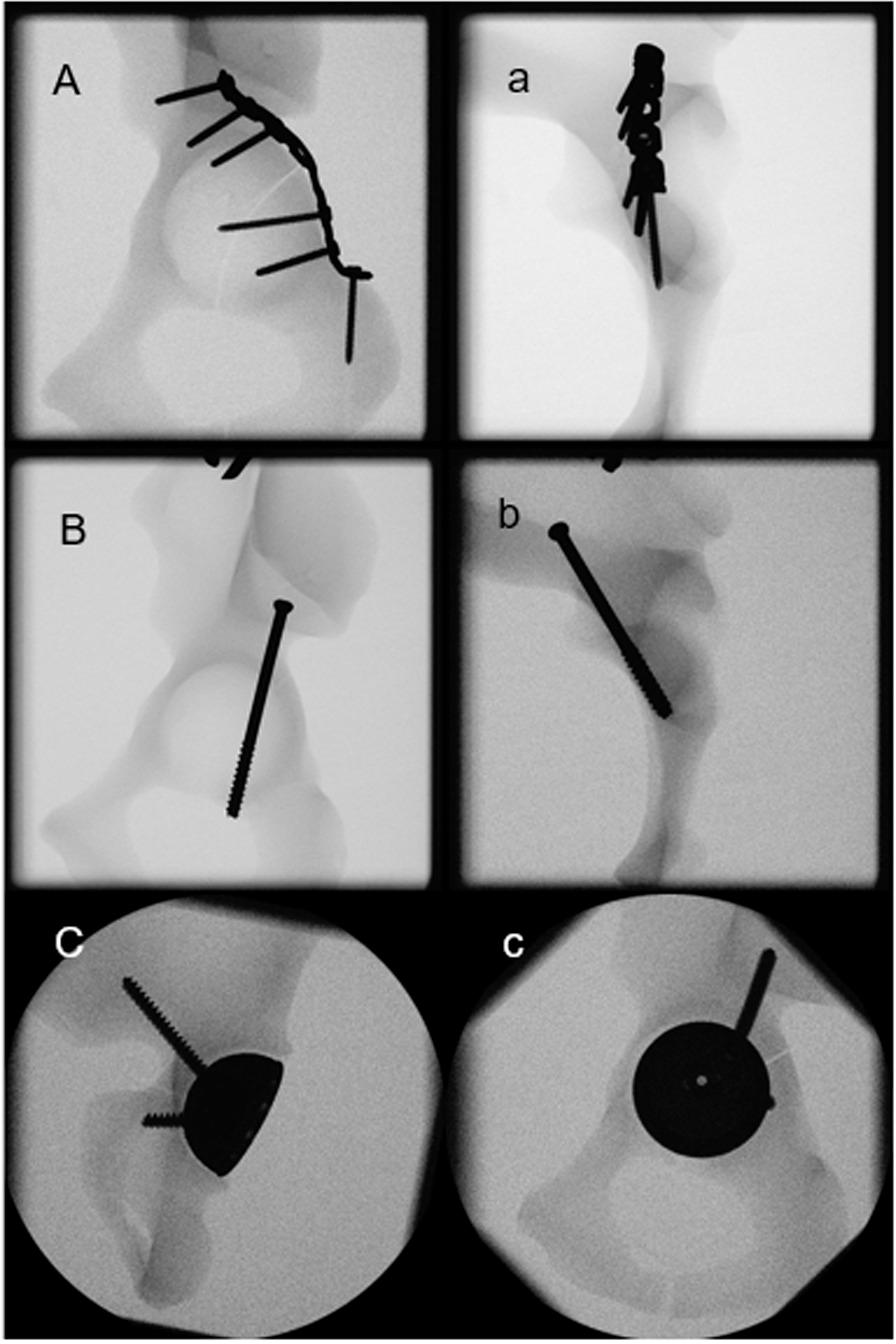 https://cdn.ncbi.nlm.nih.gov/pmc/blobs/55ee/10236575/2c4159e8297b/13018_2023_3879_Fig2_HTML.jpg