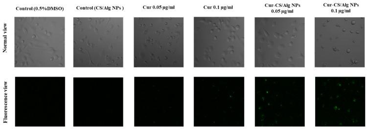 https://cdn.ncbi.nlm.nih.gov/pmc/blobs/55f1/6479976/2b1acf991418/molecules-24-01388-g004.jpg