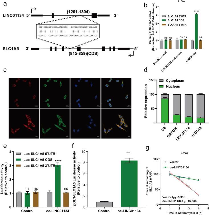 https://cdn.ncbi.nlm.nih.gov/pmc/blobs/55f5/11493009/54350f3da4a4/jcav15p6135g005.jpg