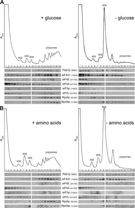 https://cdn.ncbi.nlm.nih.gov/pmc/blobs/55f6/2064737/1b505d7c4c08/jcb1790065f01.jpg