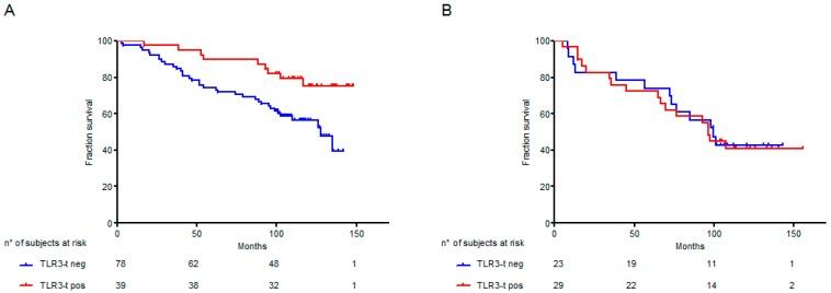 https://cdn.ncbi.nlm.nih.gov/pmc/blobs/55f6/7073031/a4d50af4ab0d/ijms-21-01440-g003.jpg