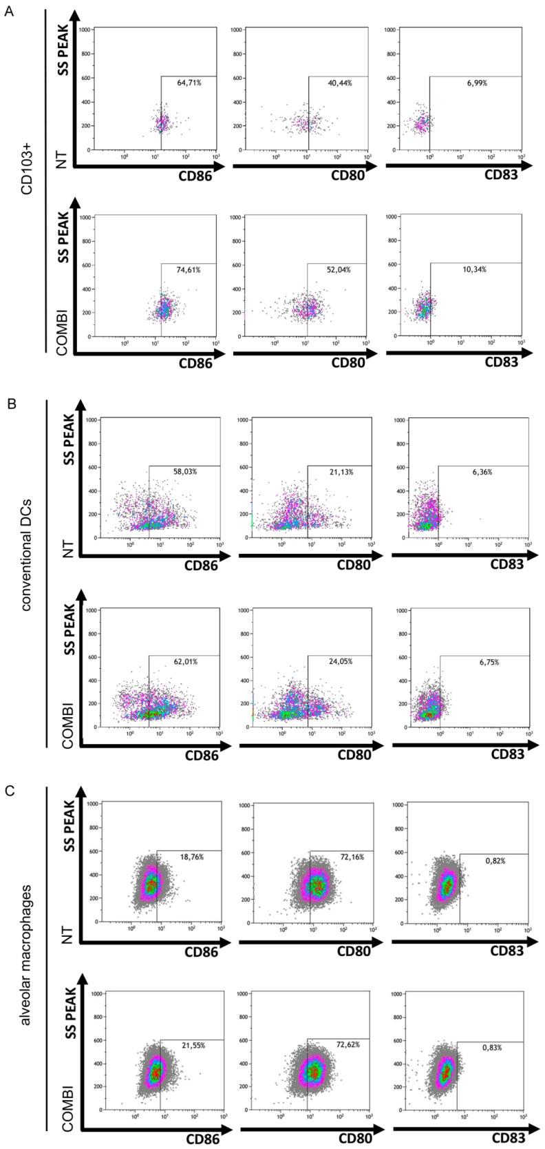 https://cdn.ncbi.nlm.nih.gov/pmc/blobs/55f6/7073031/ad1100105074/ijms-21-01440-g005.jpg