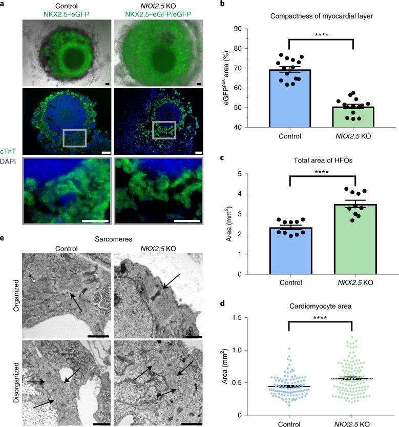 https://cdn.ncbi.nlm.nih.gov/pmc/blobs/55f6/8192303/4d49c493056b/41587_2021_815_Fig5_HTML.jpg