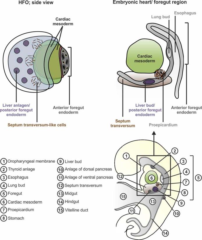 https://cdn.ncbi.nlm.nih.gov/pmc/blobs/55f6/8192303/b753e2cb0ec4/41587_2021_815_Fig14_ESM.jpg