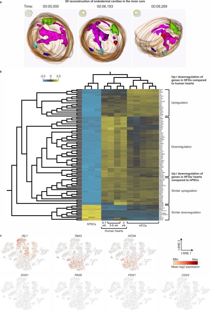 https://cdn.ncbi.nlm.nih.gov/pmc/blobs/55f6/8192303/c11d821c7949/41587_2021_815_Fig10_ESM.jpg