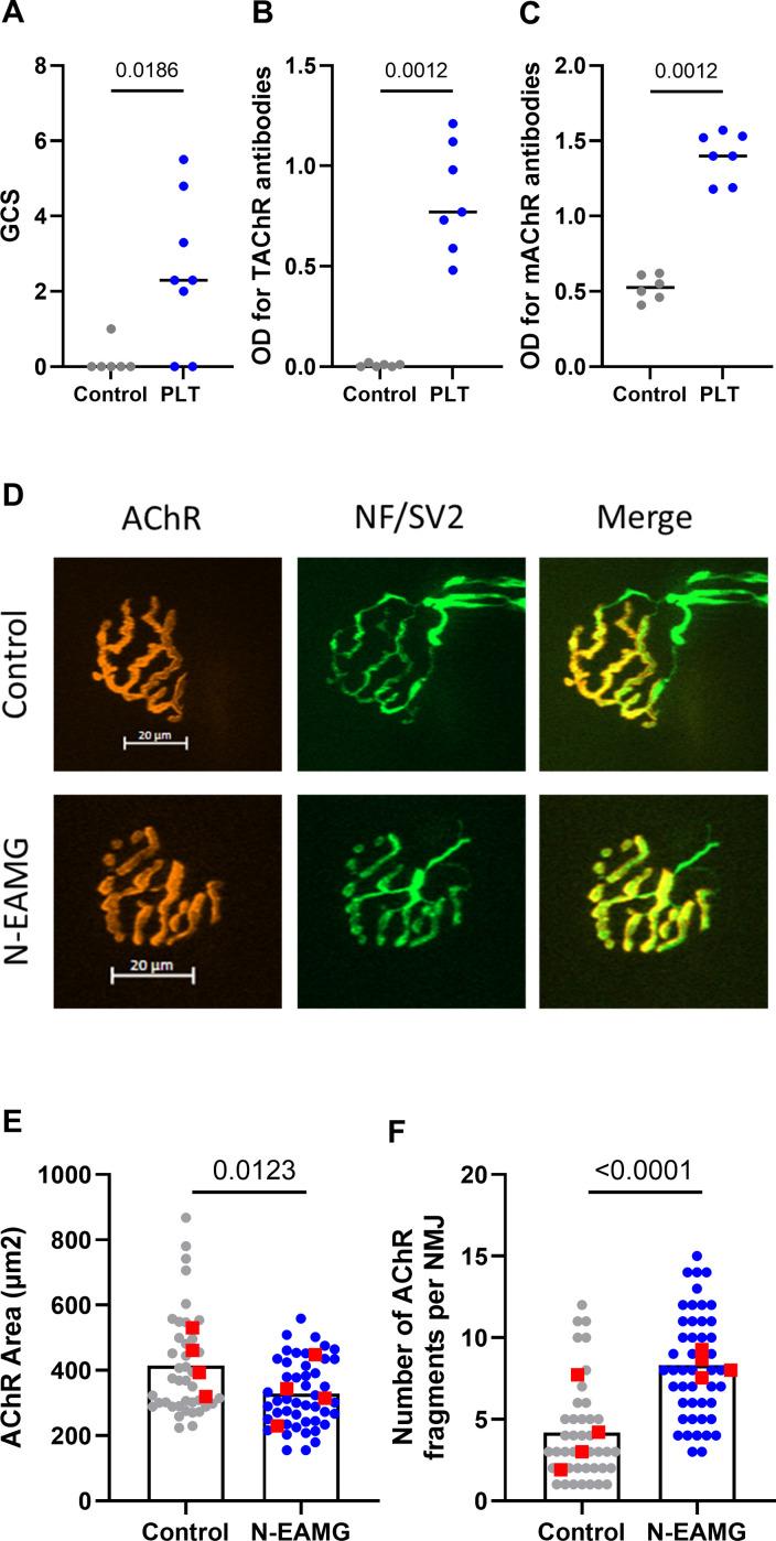 https://cdn.ncbi.nlm.nih.gov/pmc/blobs/55f7/11994731/29c28afa3198/fimmu-16-1521382-g004.jpg