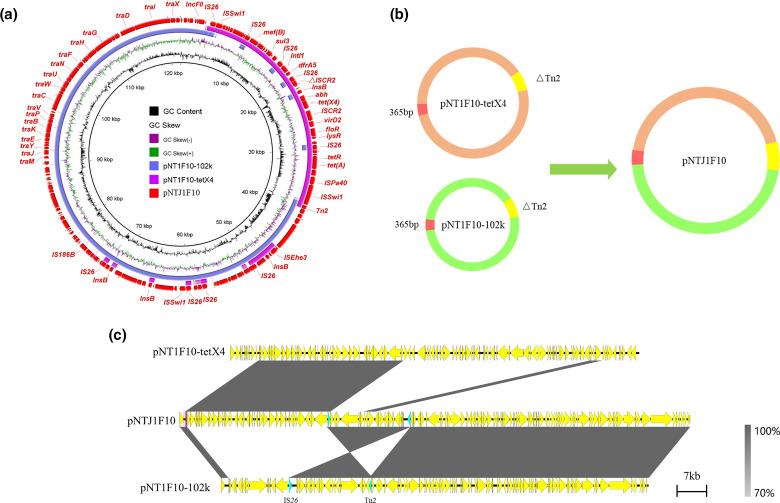 https://cdn.ncbi.nlm.nih.gov/pmc/blobs/55f8/8627205/e43d1b620ded/mgen-7-0667-g003.jpg