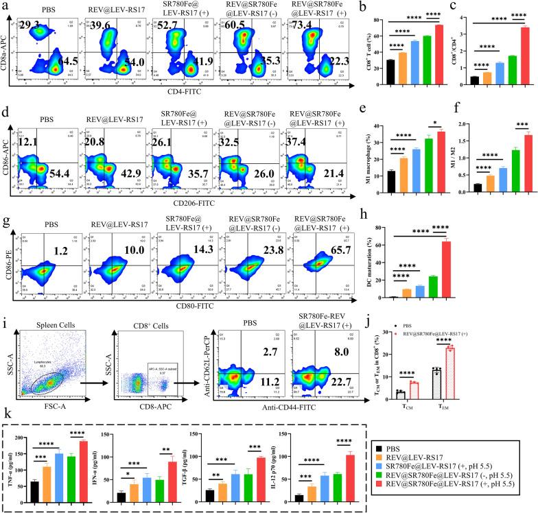 https://cdn.ncbi.nlm.nih.gov/pmc/blobs/55f9/11264854/0a8bb659d75e/12951_2024_2719_Fig6_HTML.jpg