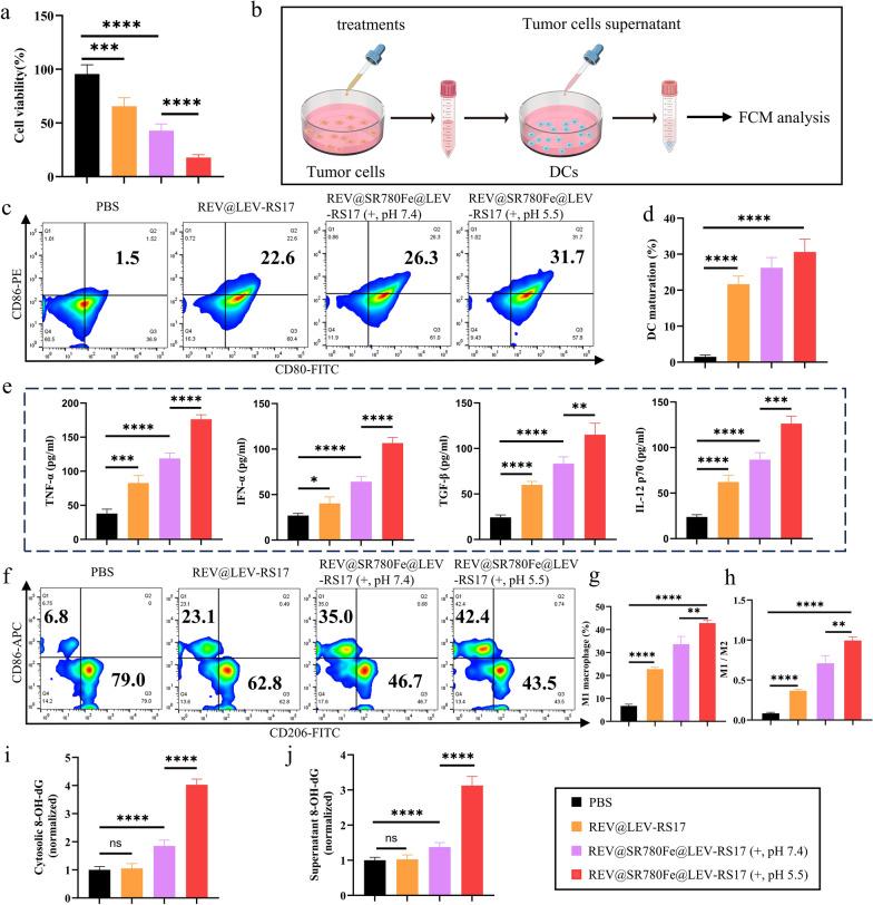 https://cdn.ncbi.nlm.nih.gov/pmc/blobs/55f9/11264854/610fcaa16eb8/12951_2024_2719_Fig4_HTML.jpg