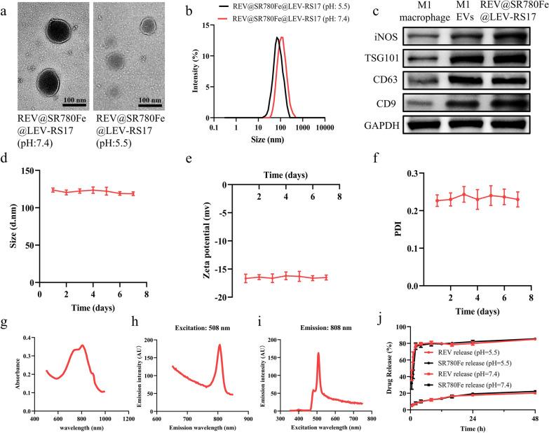 https://cdn.ncbi.nlm.nih.gov/pmc/blobs/55f9/11264854/cac50b4b6256/12951_2024_2719_Fig1_HTML.jpg
