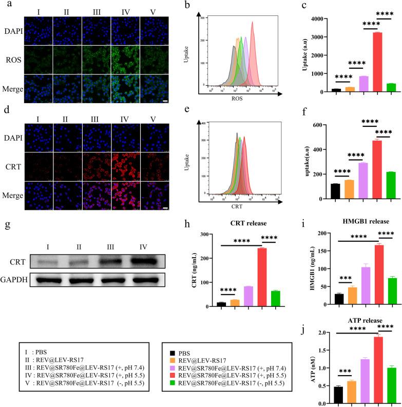 https://cdn.ncbi.nlm.nih.gov/pmc/blobs/55f9/11264854/e83906819580/12951_2024_2719_Fig3_HTML.jpg