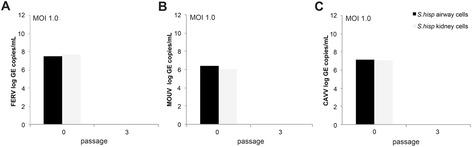 https://cdn.ncbi.nlm.nih.gov/pmc/blobs/55fa/4855710/8245d134358a/12985_2016_531_Fig5_HTML.jpg