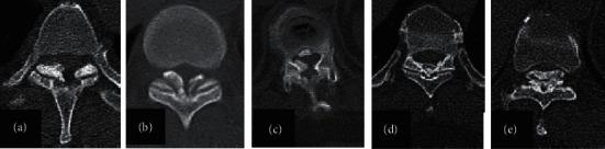 https://cdn.ncbi.nlm.nih.gov/pmc/blobs/55fb/8712141/4c5fd89b8bf6/PRM2021-3971396.001.jpg
