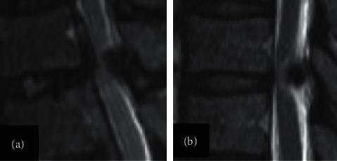 https://cdn.ncbi.nlm.nih.gov/pmc/blobs/55fb/8712141/96b5cc98e7c6/PRM2021-3971396.002.jpg