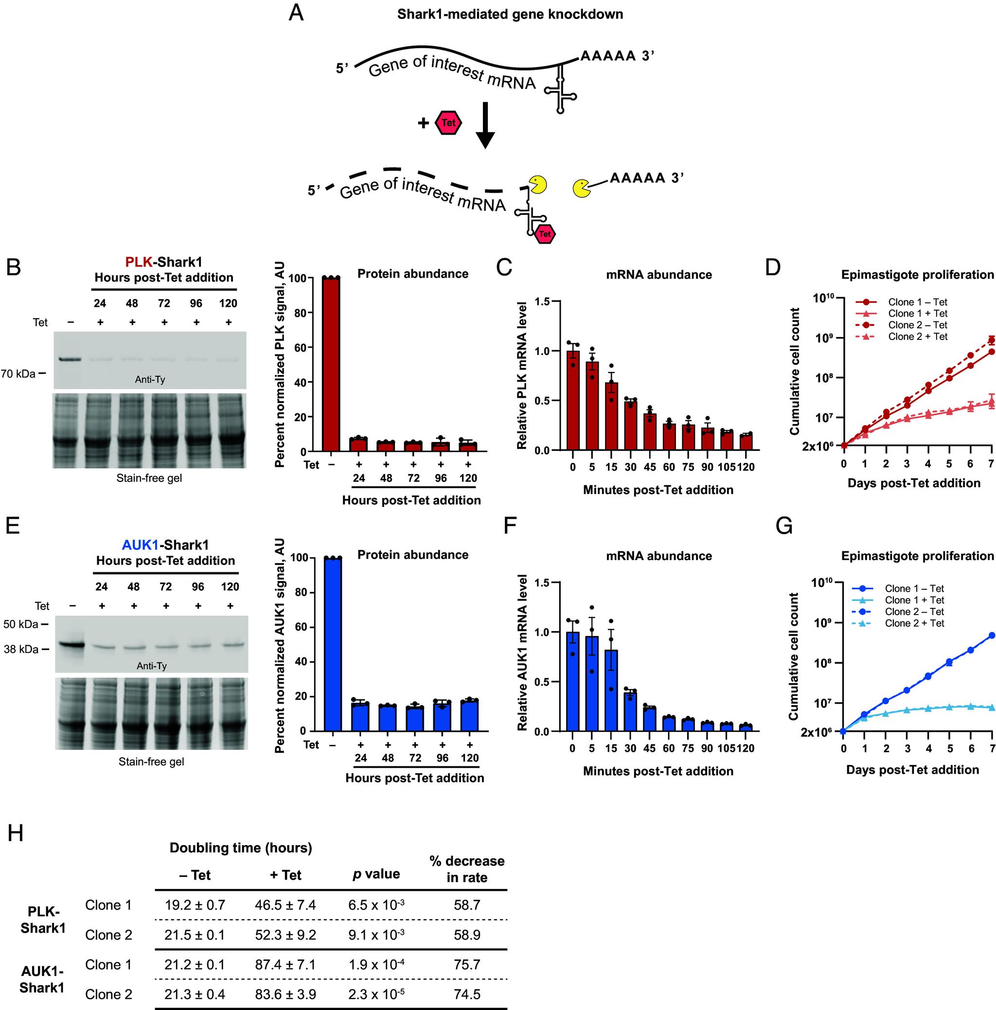 https://cdn.ncbi.nlm.nih.gov/pmc/blobs/55fc/11874021/241dfe675411/pnas.2416009122fig02.jpg