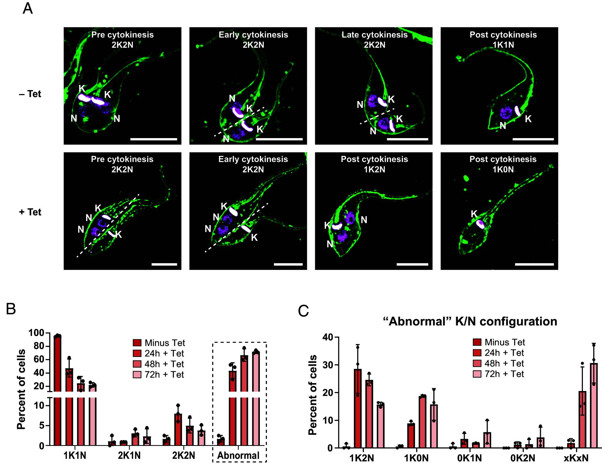 https://cdn.ncbi.nlm.nih.gov/pmc/blobs/55fc/11874021/8f97131ca7fe/pnas.2416009122fig03.jpg