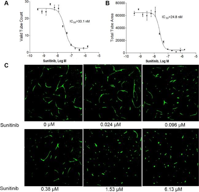 https://cdn.ncbi.nlm.nih.gov/pmc/blobs/55fc/6032403/f3fd1ffa538a/10.1177_2472630317729792-fig2.jpg