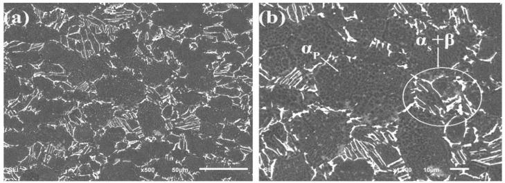 https://cdn.ncbi.nlm.nih.gov/pmc/blobs/55fc/9027182/8b7ee4af240a/materials-15-02800-g002.jpg