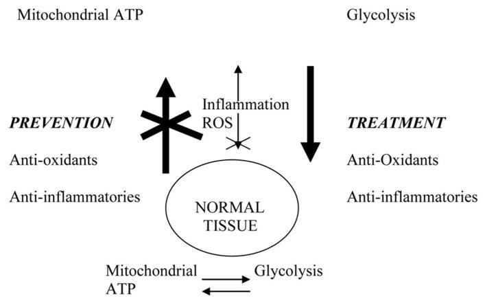 https://cdn.ncbi.nlm.nih.gov/pmc/blobs/55fd/3691519/9b88e61f0479/fphar-04-00068-g008.jpg