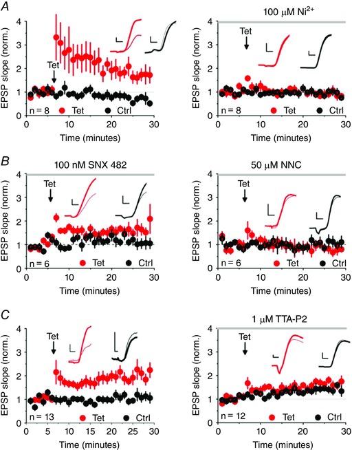 https://cdn.ncbi.nlm.nih.gov/pmc/blobs/5600/5451714/01fe62f44a9e/TJP-595-3449-g002.jpg