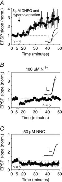 https://cdn.ncbi.nlm.nih.gov/pmc/blobs/5600/5451714/474021b48576/TJP-595-3449-g004.jpg