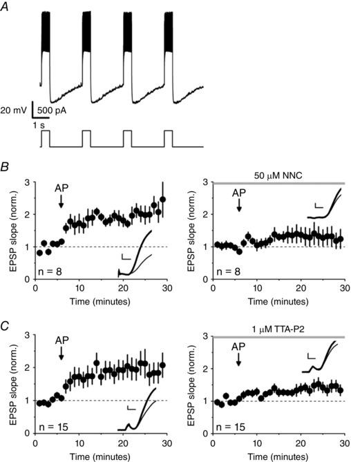 https://cdn.ncbi.nlm.nih.gov/pmc/blobs/5600/5451714/bb8c89032617/TJP-595-3449-g003.jpg