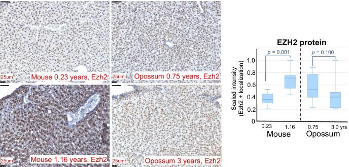 https://cdn.ncbi.nlm.nih.gov/pmc/blobs/5600/9213610/de31dc43970e/11357_2022_569_Fig5_HTML.jpg