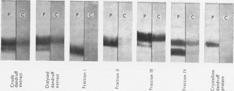 https://cdn.ncbi.nlm.nih.gov/pmc/blobs/5601/1199916/265318915648/biochemj00847-0177-a.jpg