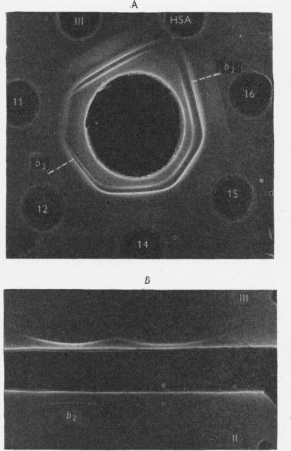https://cdn.ncbi.nlm.nih.gov/pmc/blobs/5601/1199916/c18f4b1ef5cf/biochemj00847-0182-a.jpg