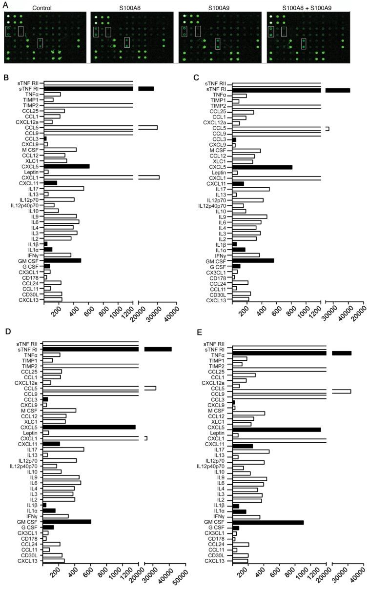 https://cdn.ncbi.nlm.nih.gov/pmc/blobs/5602/11134430/702c01d8342c/jcav15p3452g003.jpg